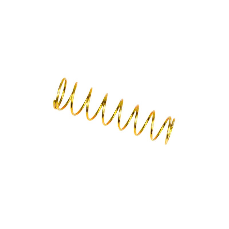 Parolin Master Cylinder Brake Piston Return Spring