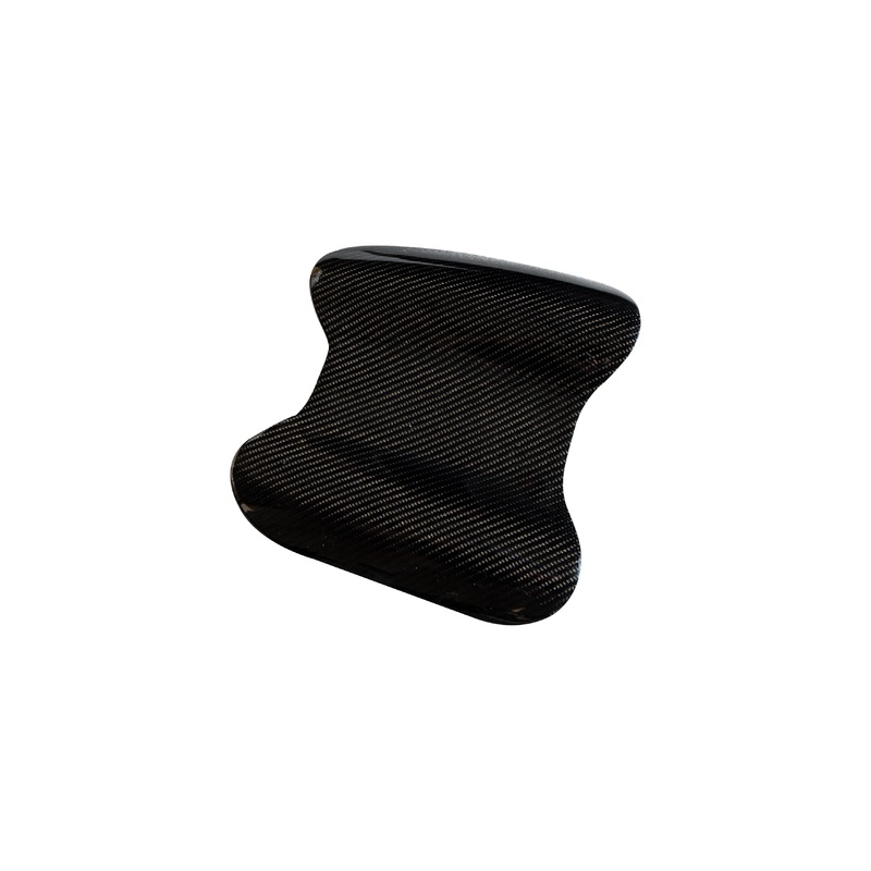 Rexpeed Carbon Crown Meter Cover | 2008 - 2015 Mitsubishi Evo X (R163)