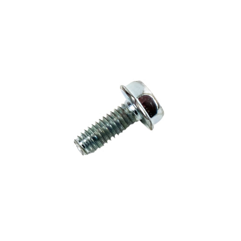 307. 794822 Briggs Animal, LO206 Screw for Cylinder Shield