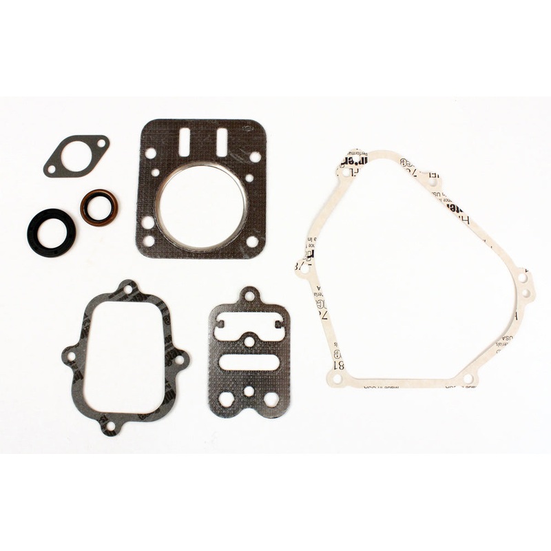 358. 555631 Briggs Animal Engine Gasket Kit
