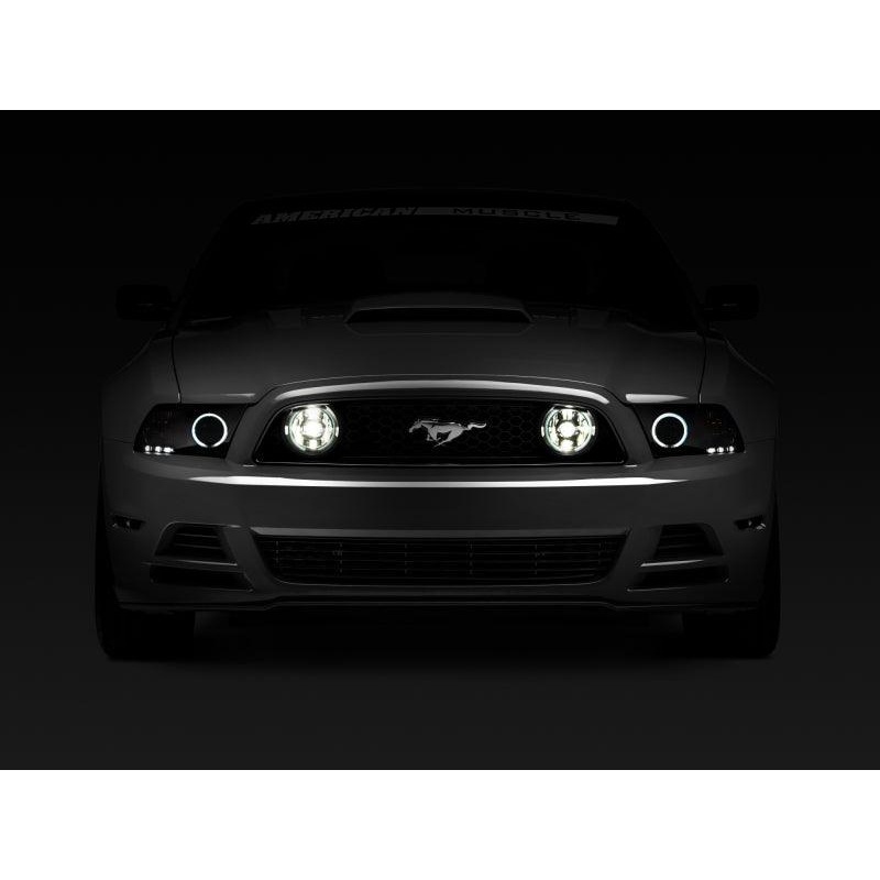 Raxiom 13-14 Ford Mustang GT CCFL Halo Fog Lights (Smoked)