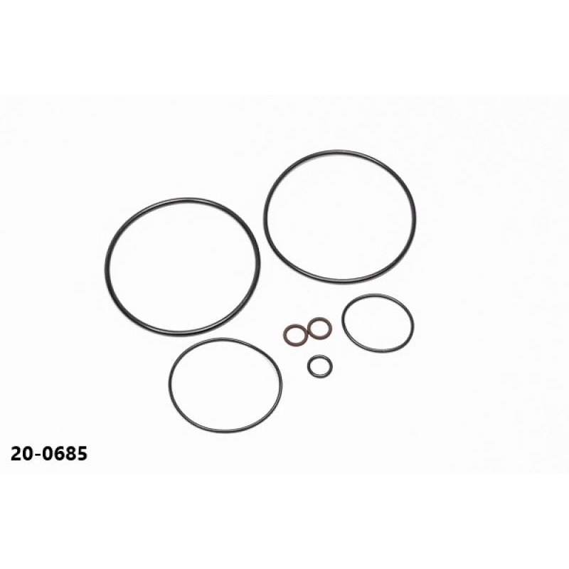Radium Engineering AOS-R O-Ring Service Kit